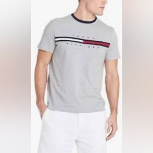 Tommy Hilfiger Flag Stripe Mens Classic Tee